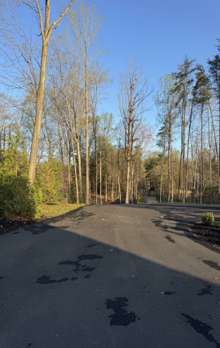 Dormant trees on Busbees Point road wait for the spring blooming to start.